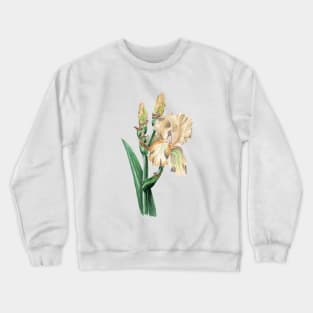 Iris Crewneck Sweatshirt